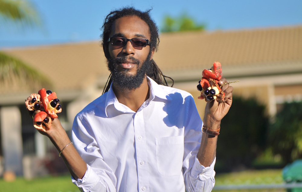 Everybody could grow something: A reasoning with Machel Emanuel